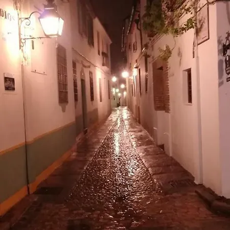 A Escasos Metros De La Mezquita *